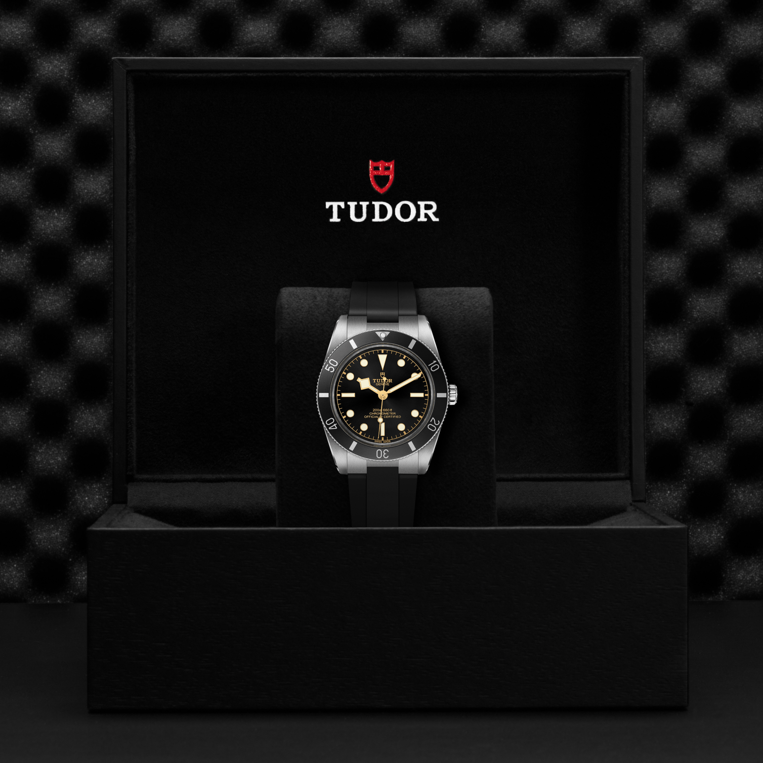 tudor-m79000n-0002 (4)