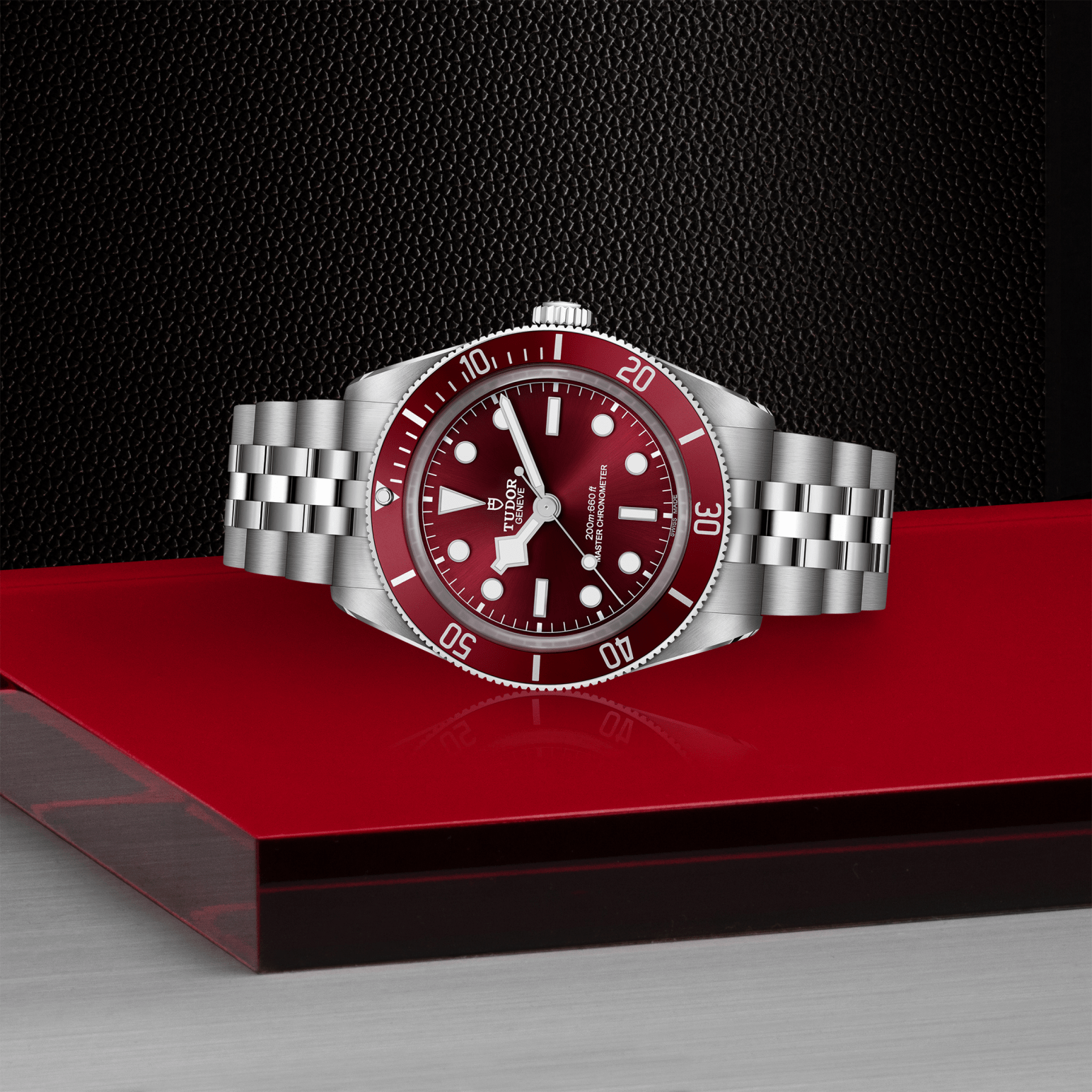 tudor-m7939a1a0ru-0001 (3)