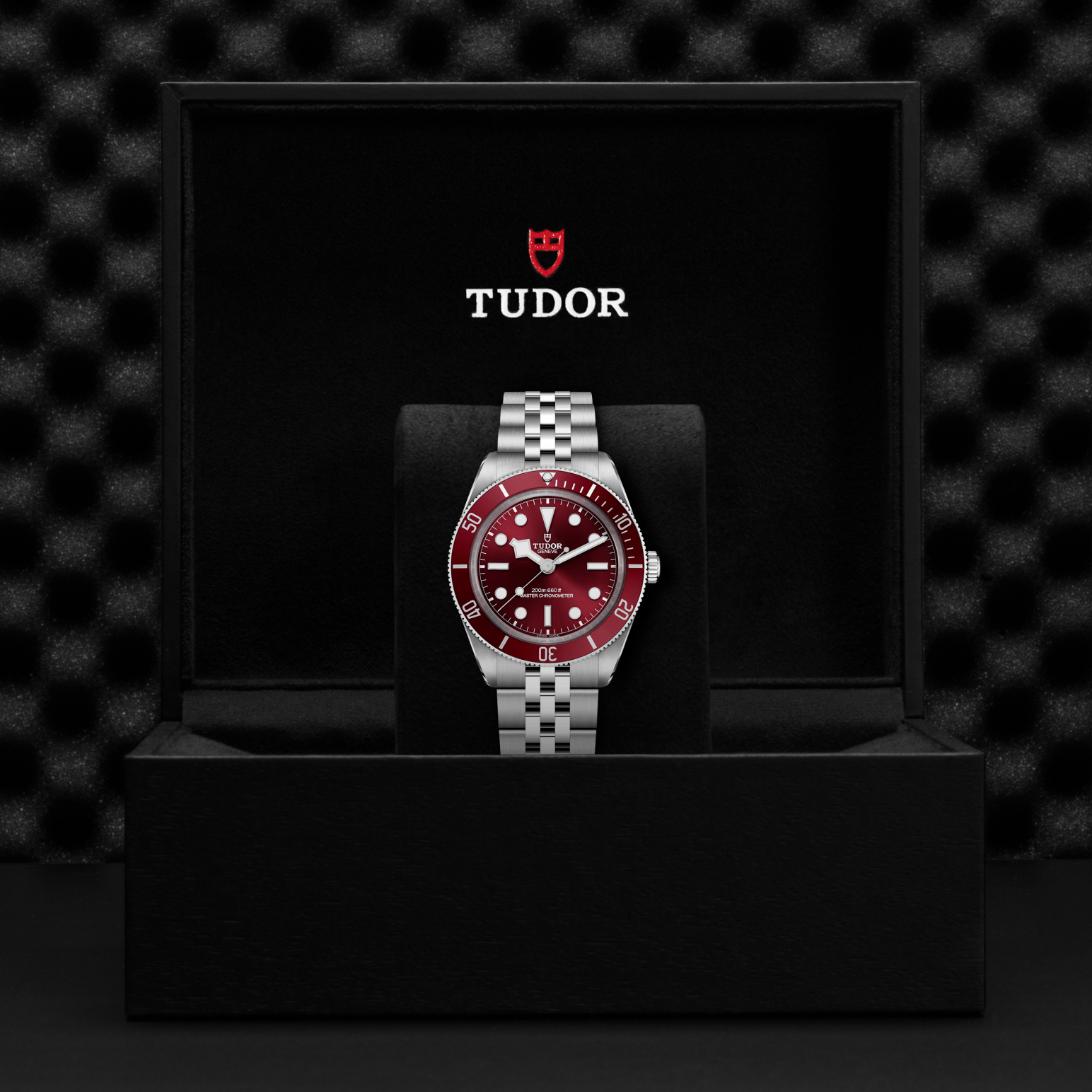 tudor-m7939a1a0ru-0001 (4)
